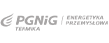 PGNiG Logo