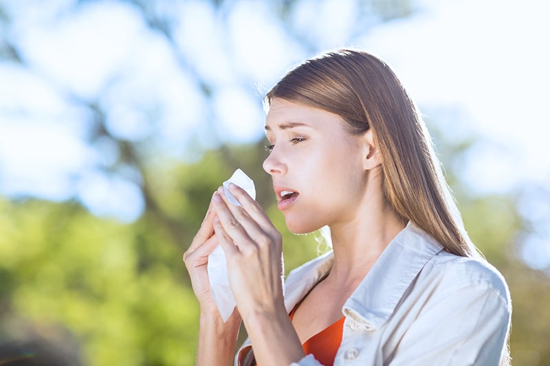Sezon alergiczny – dłuższy czas pylenia